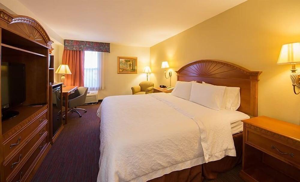 Orlando Palms Hotel photo 8