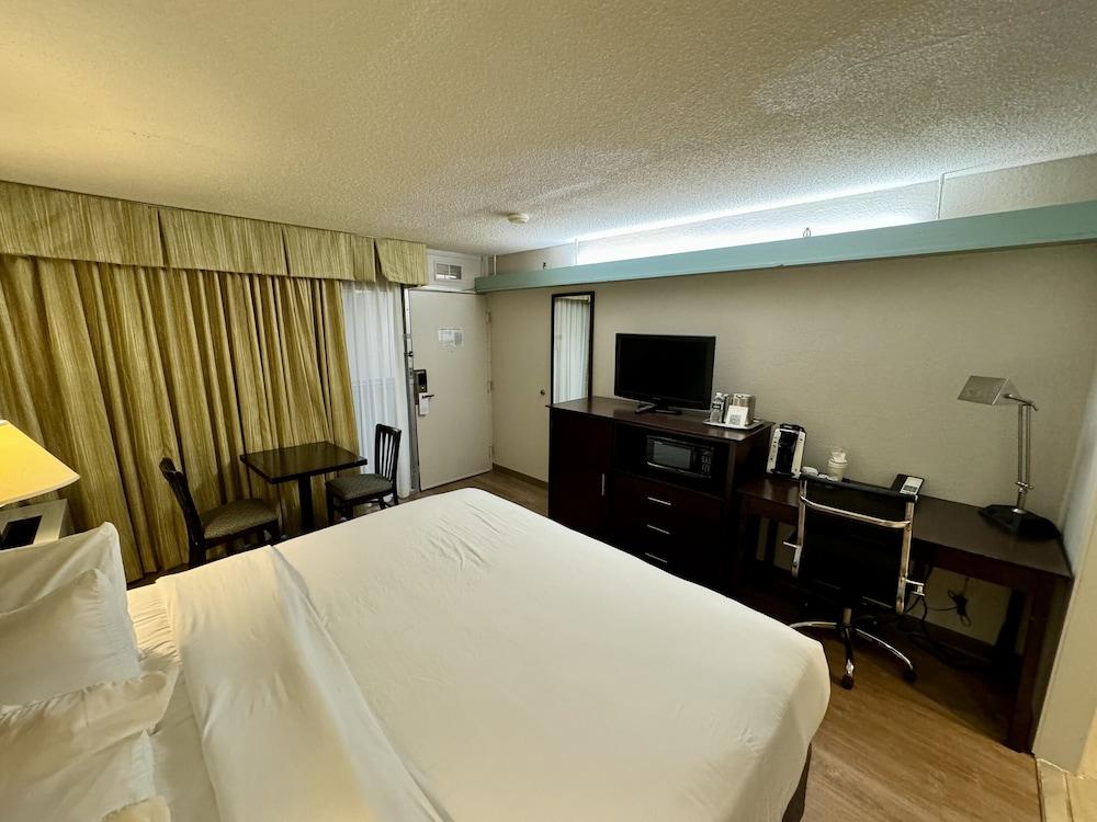Wyndham Garden Ann Arbor photo 36