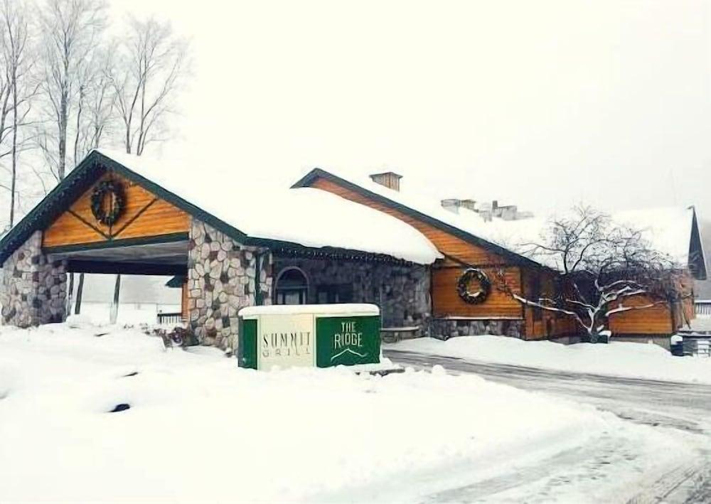 The Loon photo 18