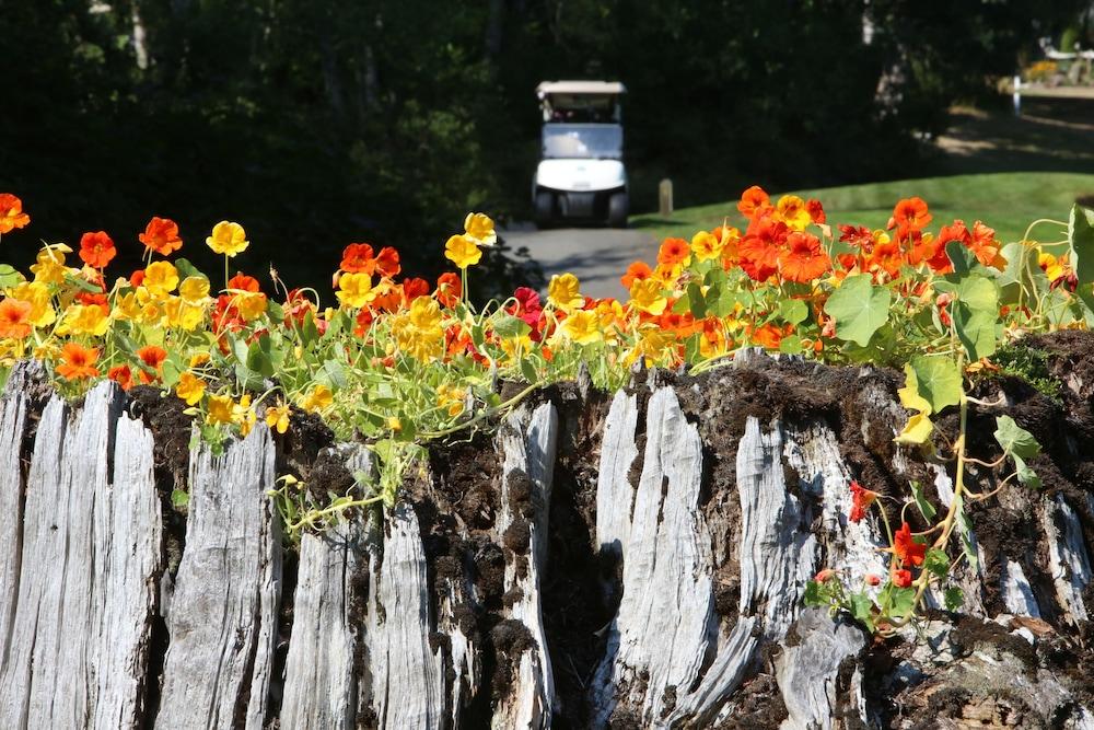 The Resort at Port Ludlow photo 42