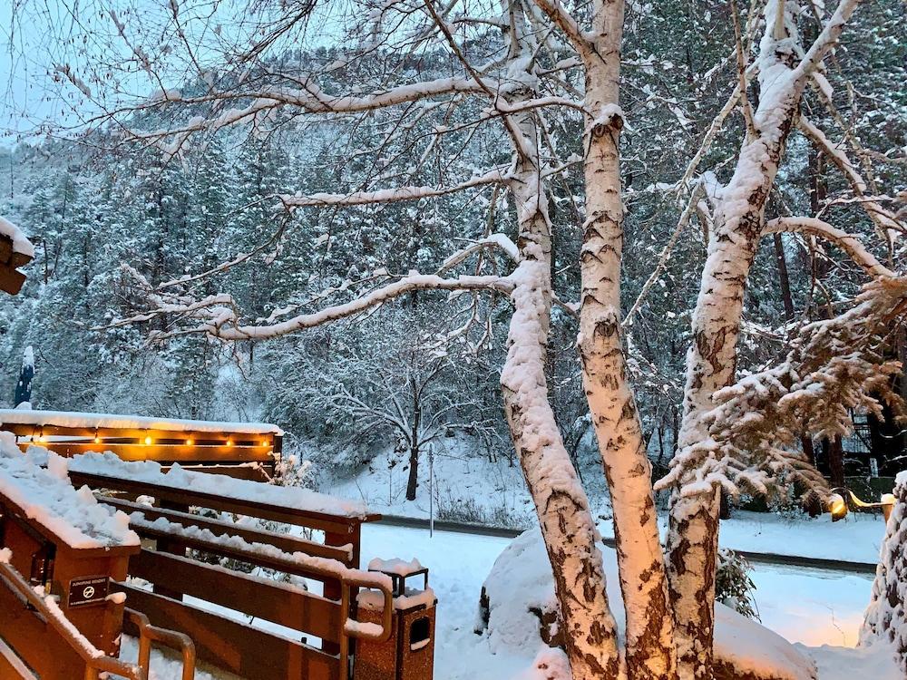 Junipine Resort photo 22