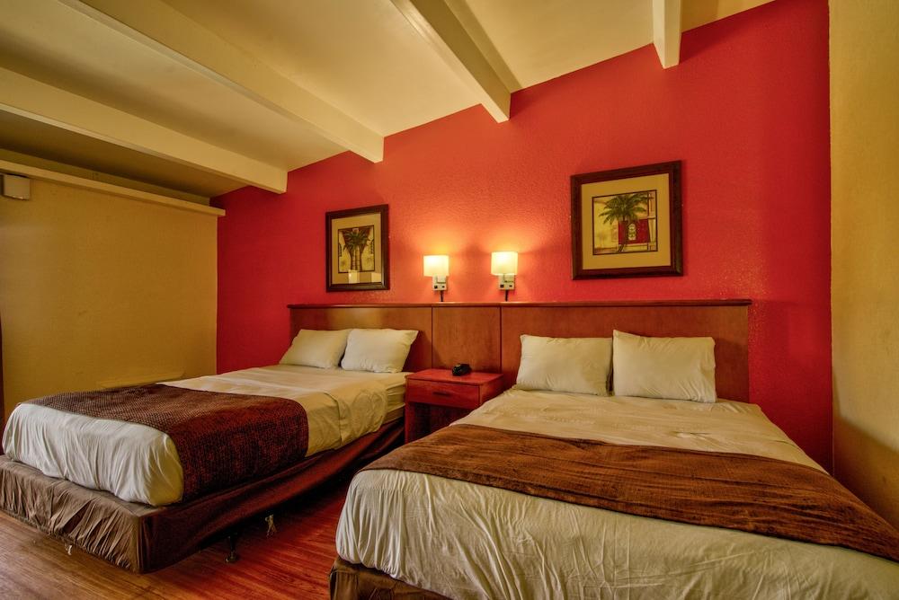 Clearwater Hotel photo 55