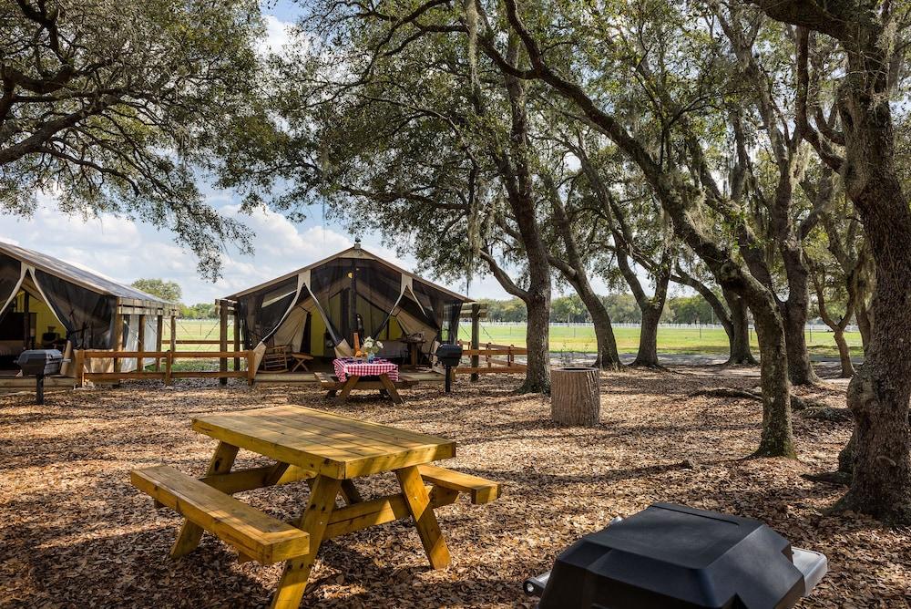 Westgate River Ranch Resort & Rodeo photo 64