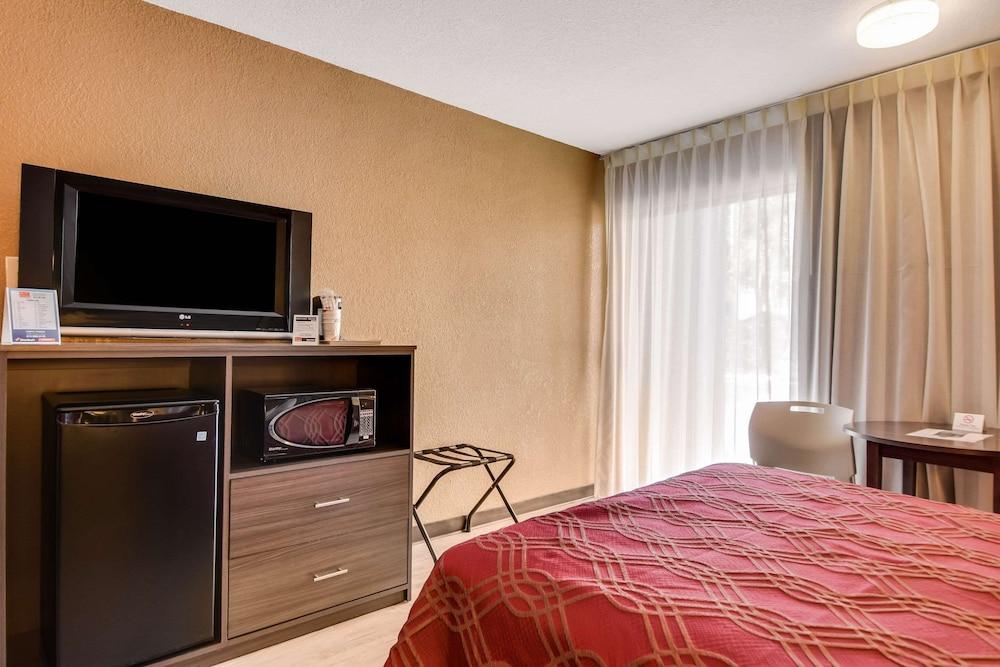 Econo Lodge Tampa near Busch Gardens photo 51