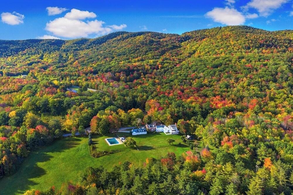 Blue Bear Inn photo 2
