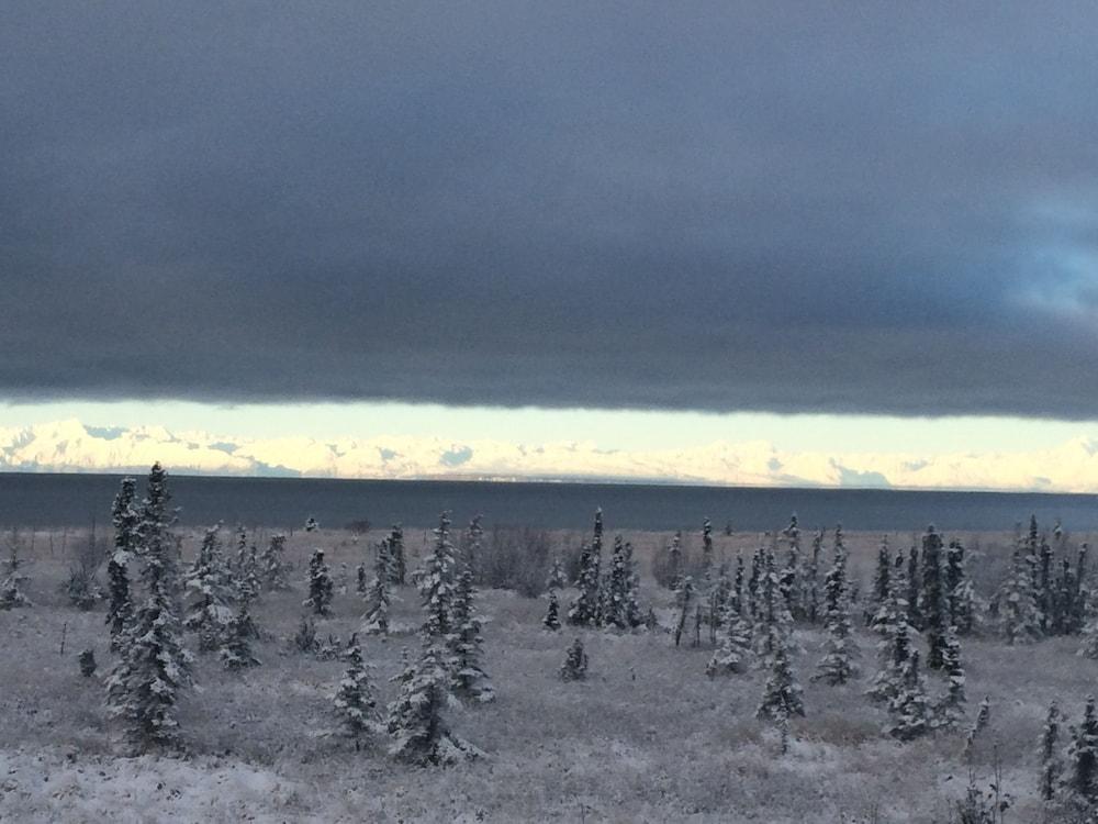 Ocean View Inn Kenai photo 6