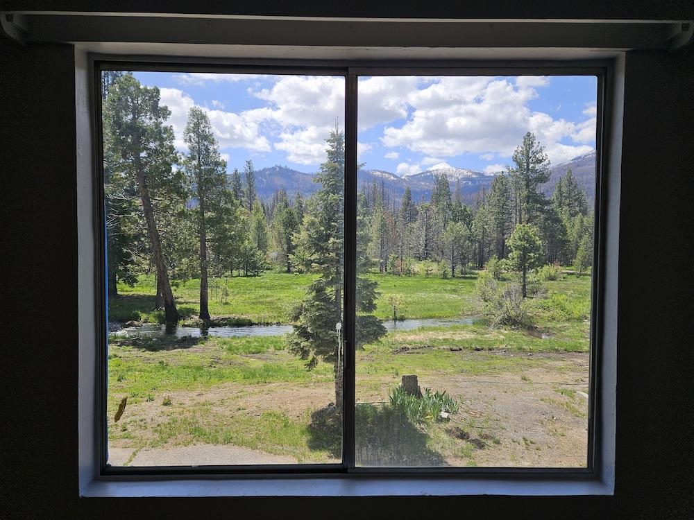 The Black Forest Lodge photo 23