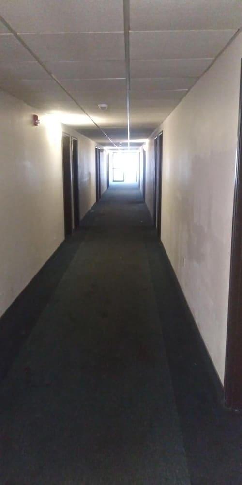 Guest Lodge photo 30