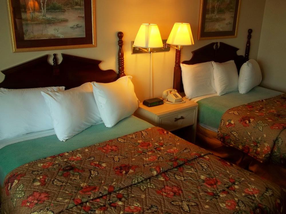 Royal Motel photo 27