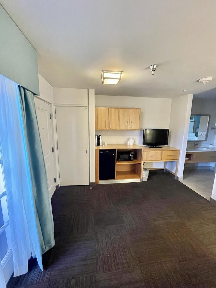 Red Roof Inn PLUS+ & Suites Tampa photo 9