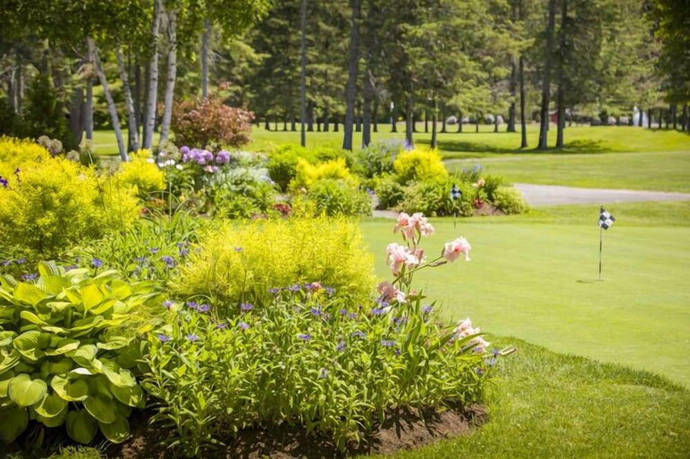 Lake Morey Resort photo 47