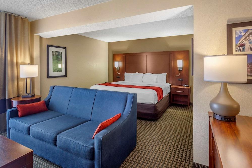 Comfort Inn & Suites Rochelle - DeKalb photo 67
