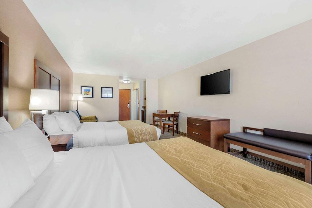 Comfort Inn & Suites Mitchell I-90 photo 19
