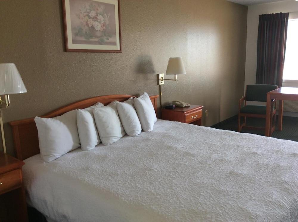 Sagamar Inn photo 47