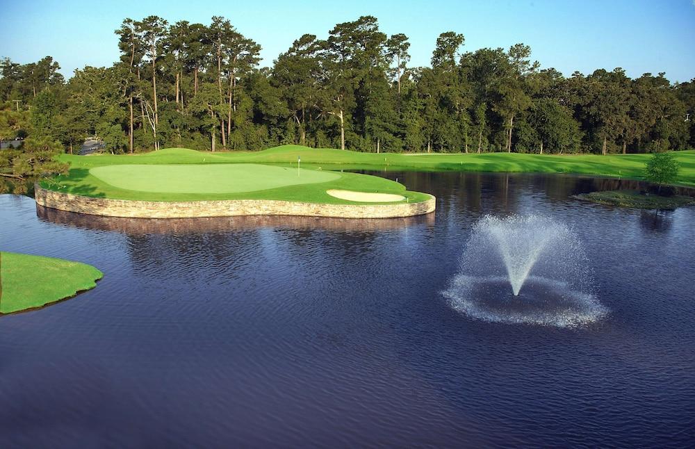 The Woodlands Resort, Curio Collection by Hilton photo 73