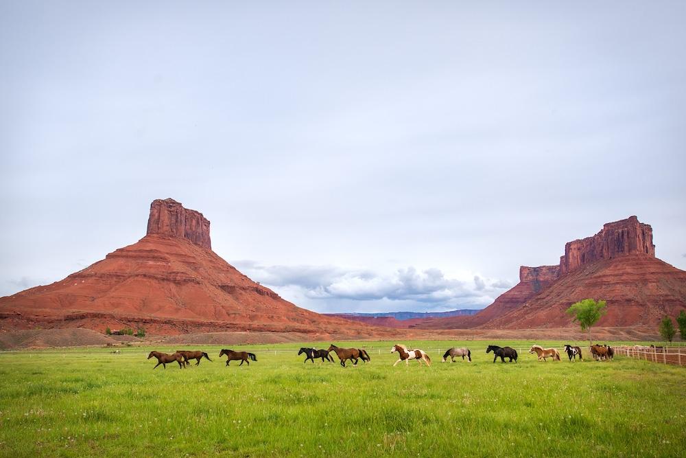 Sorrel River Ranch Resort photo 84