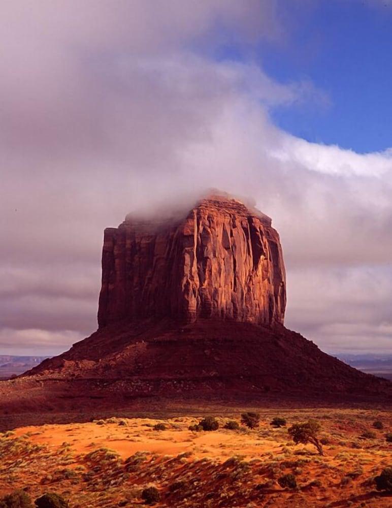 Hampton Inn Kayenta photo 65