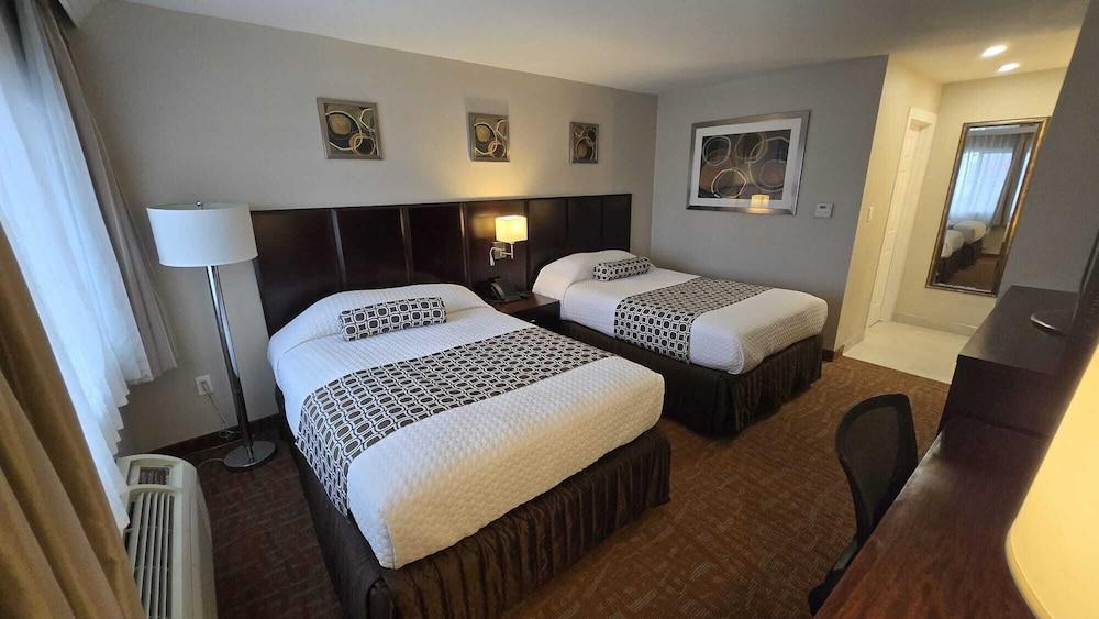 The Snoozzz Inn photo 16