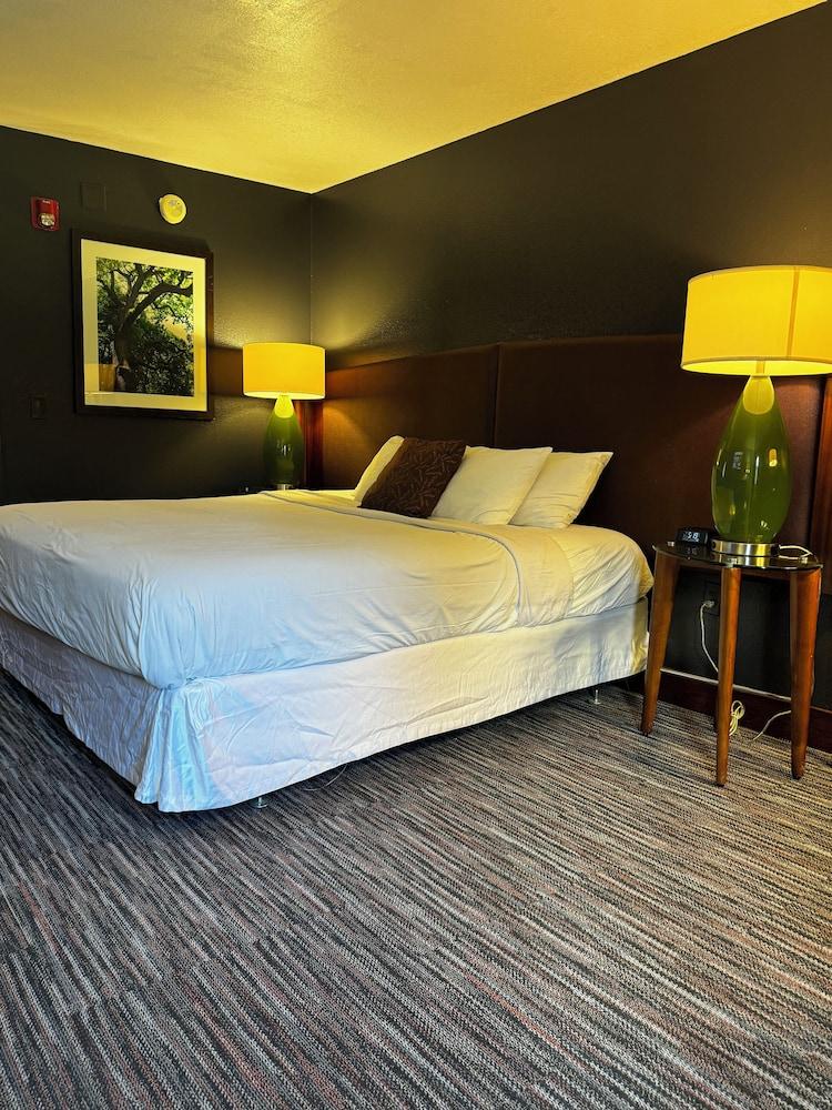 Lux Hotel photo 13