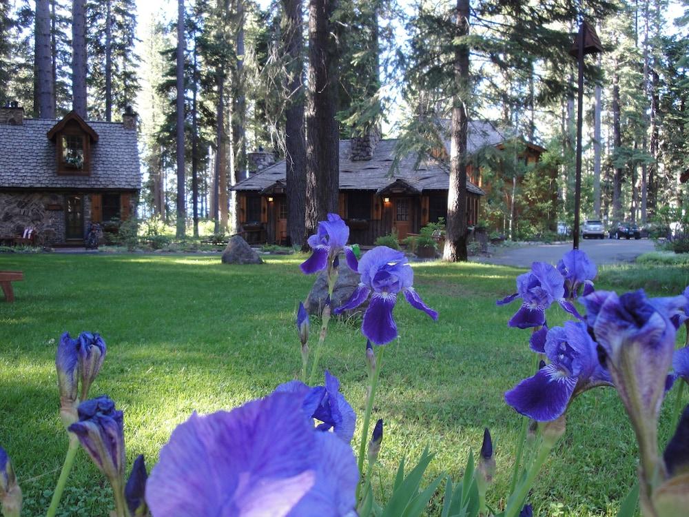 The Cottage Inn photo 45