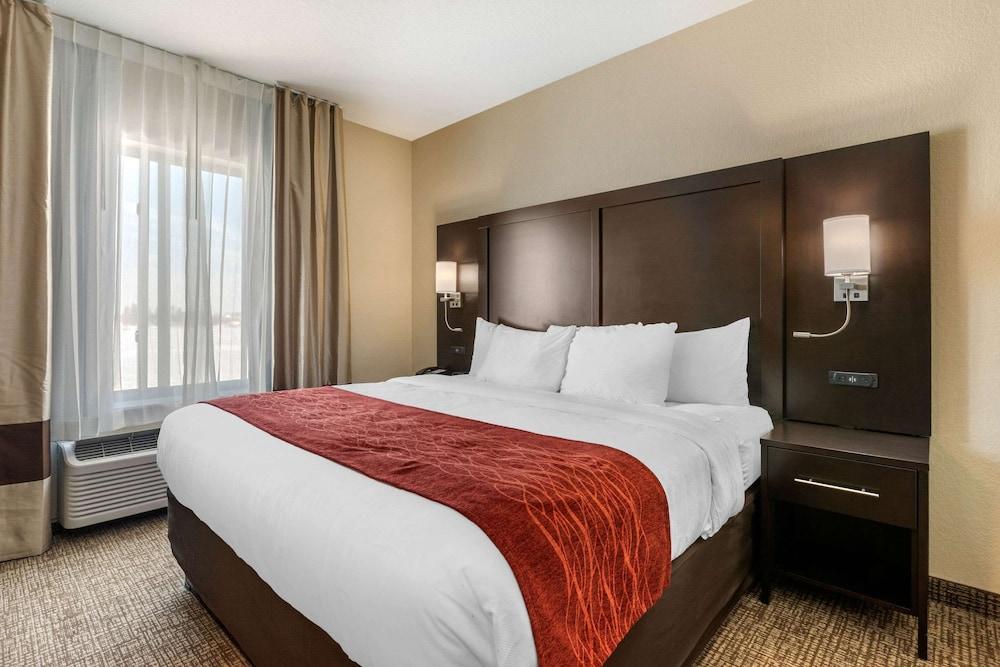 Comfort Inn & Suites Cedar Rapids CID Eastern Iowa Airport photo 29