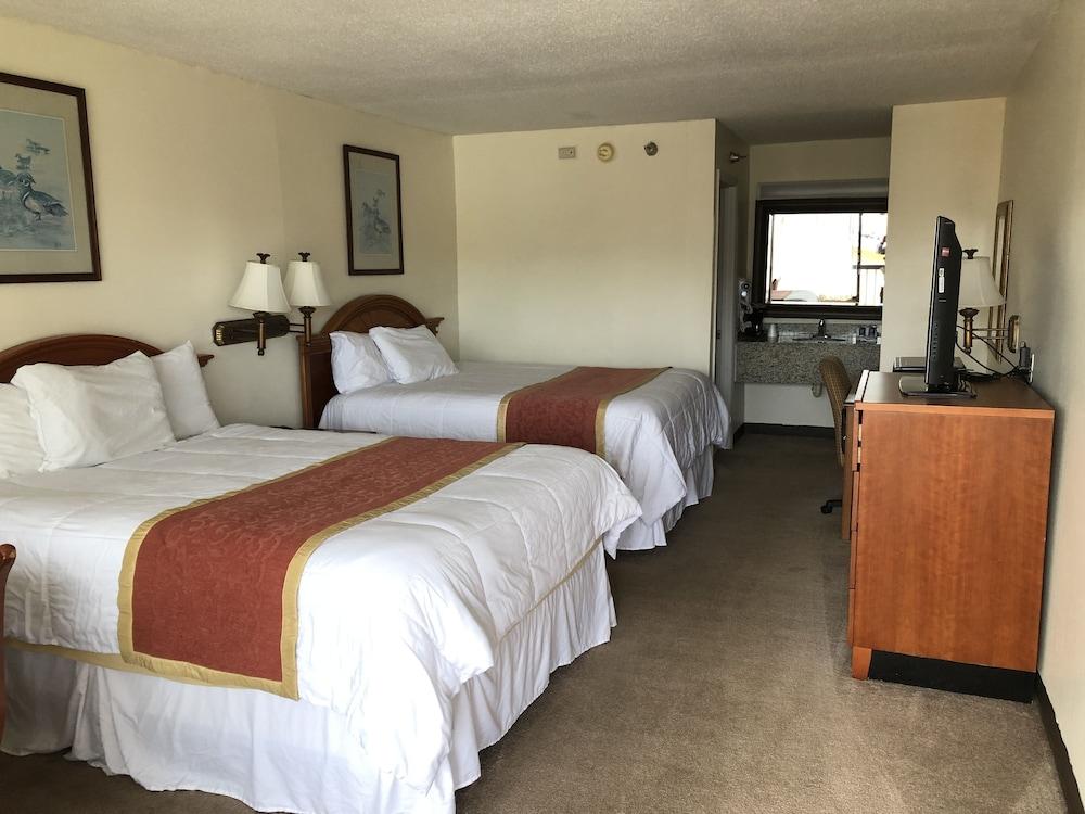 Travel Inn photo 14