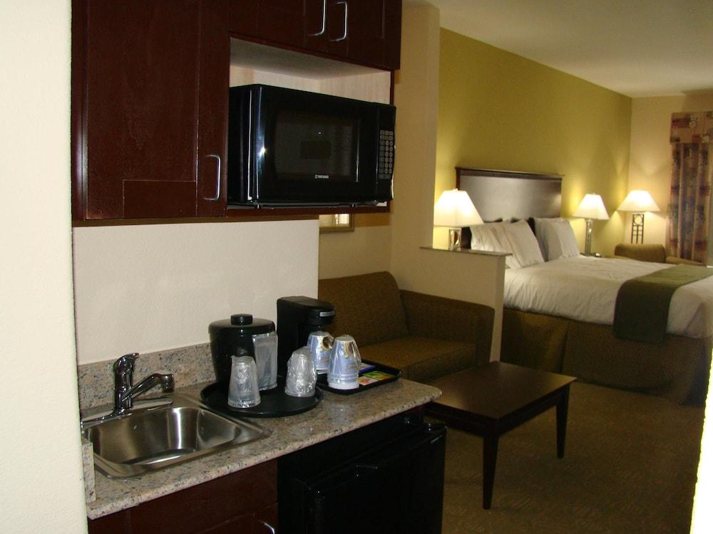 Holiday Inn Express Hotel & Suites Brownfield by IHG photo 29