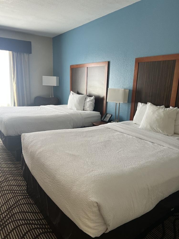 MATHIS DELUXE HOSPITALITY photo 5