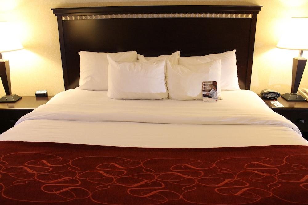 Comfort Suites Canton - Detroit photo 4
