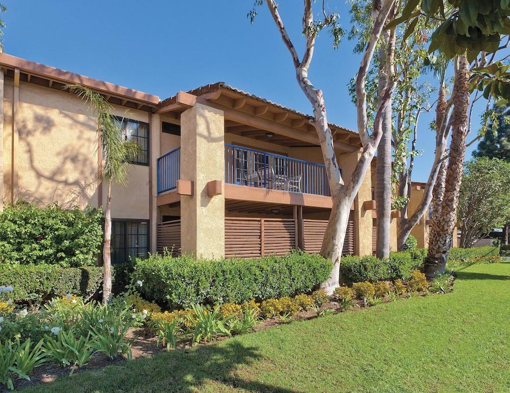 Club Wyndham Dolphin's Cove photo 43