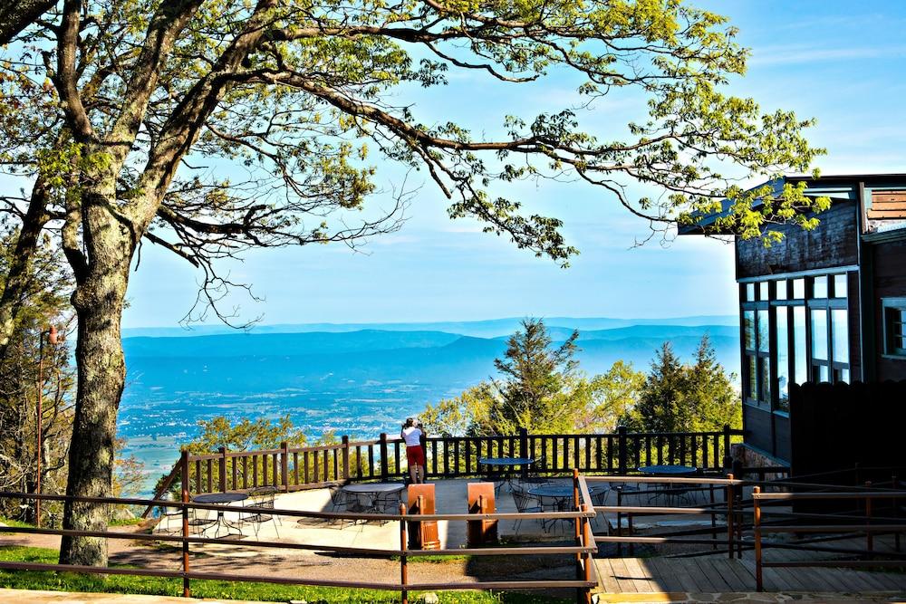 Skyland photo 33