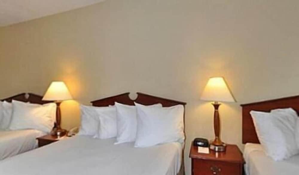 Gold Leaf Hotel of Dewey - Rehoboth Beach photo 11