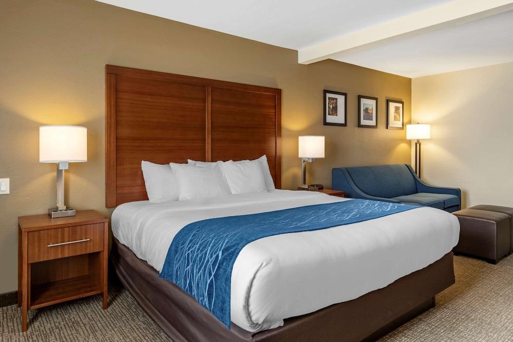 Comfort Inn & Suites Texas Hill Country photo 5
