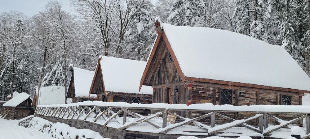 Vikings Villages Resort photo 99