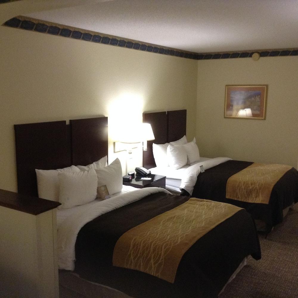 Comfort Inn & Suites Ft. Jackson Maingate photo 5
