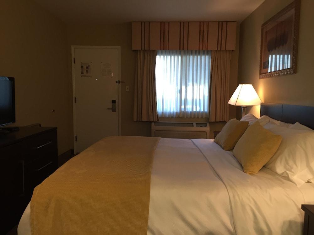 Travelodge by Wyndham Presidio San Francisco photo 8