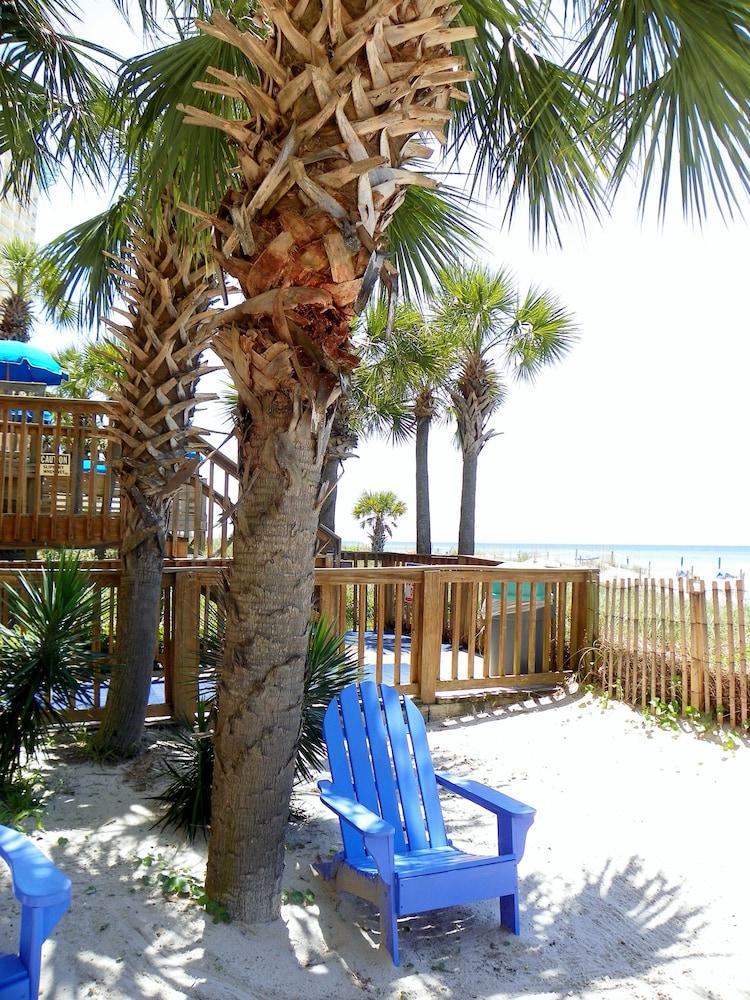 The Driftwood Lodge photo 44