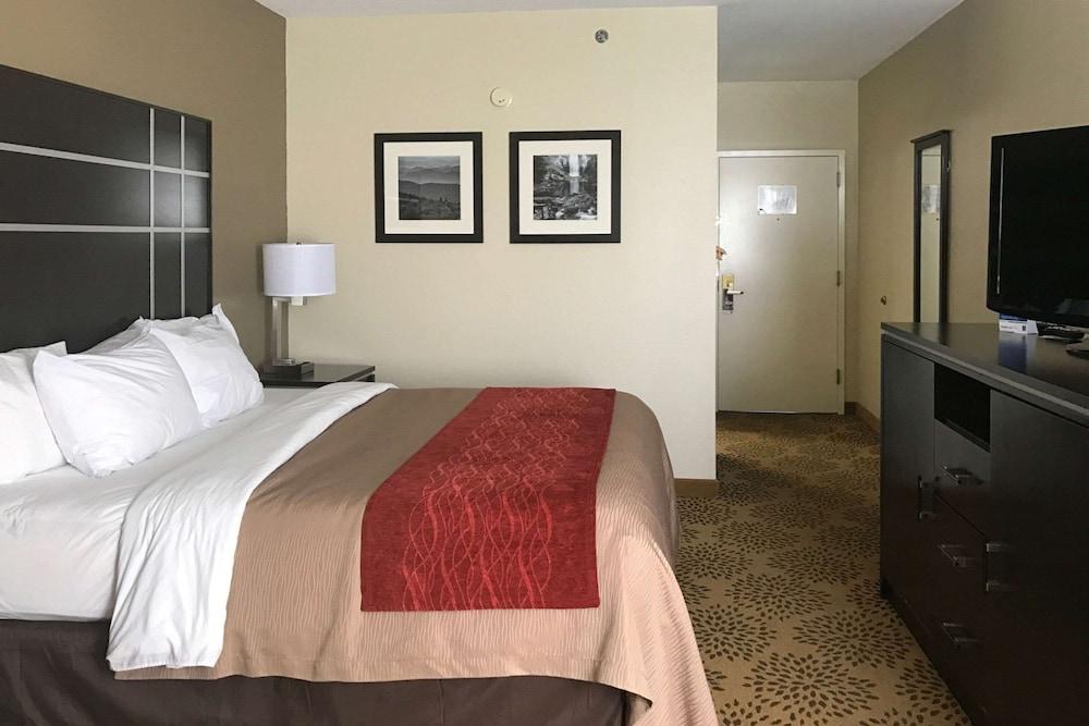 Comfort Inn North of Asheville photo 40