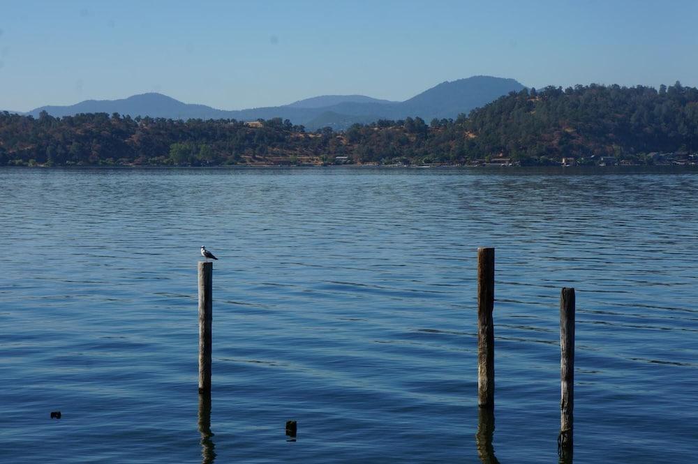 Lake Marina Inn photo 31