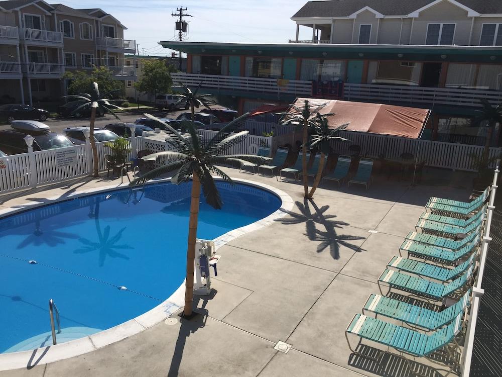 Dolphin Inn photo 9