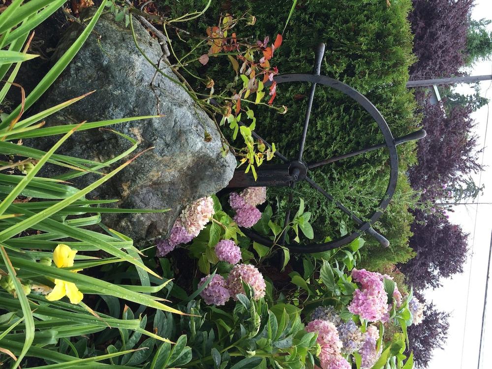 Camano Island Inn photo 42