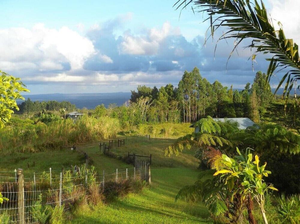 Kikala Waterfall Lodge photo 33
