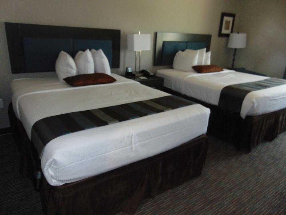 Wingate by Wyndham Lubbock near Texas Tech Univ. Medical Ctr photo 11