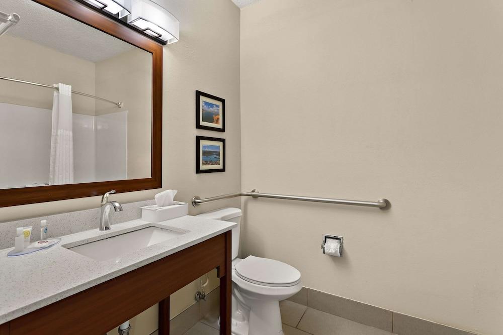 Comfort Suites University Las Cruces photo 10