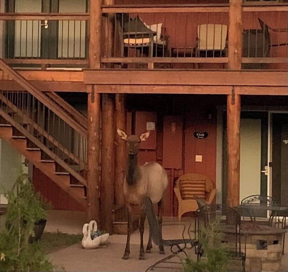 Beeline Guest House photo 41