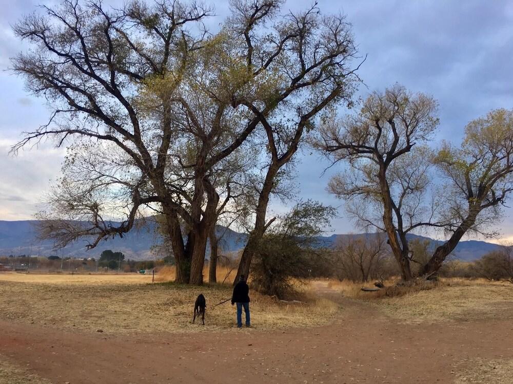 Cottonwood Hotel photo 78