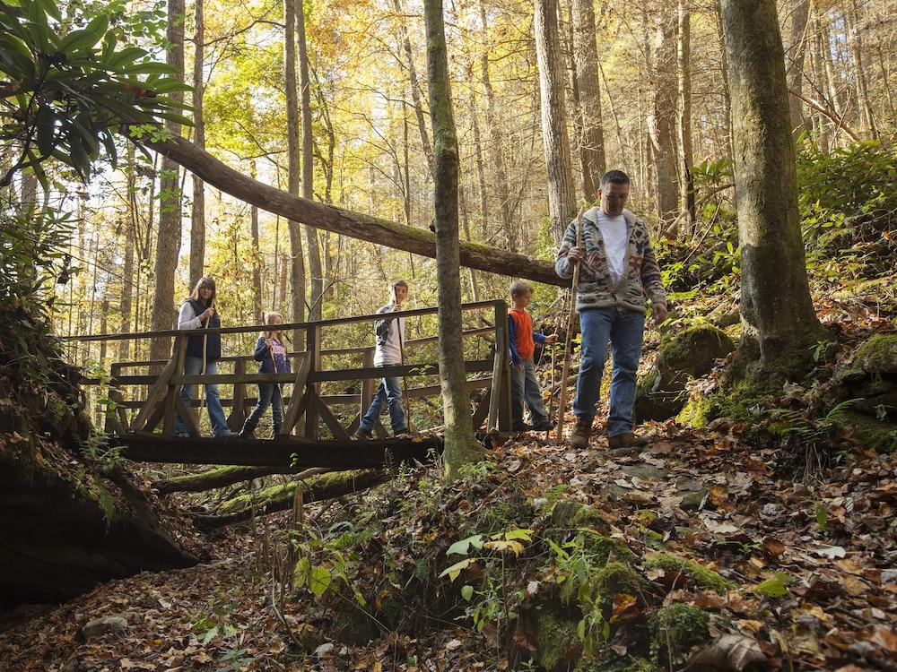 Pine Mountain State Resort Park photo 12