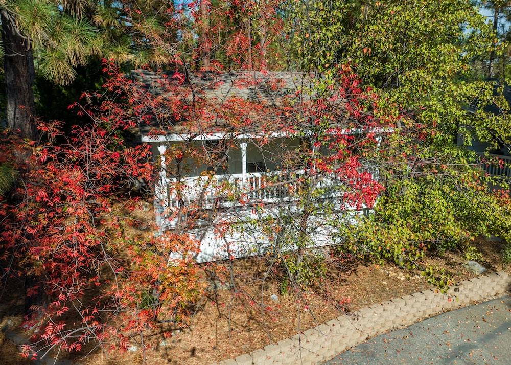 Inn at Sugar Pine Ranch photo 34