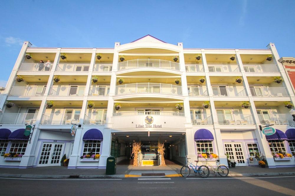 Lilac Tree Suites photo 16