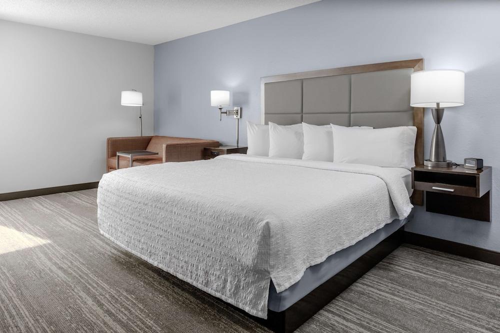 Hampton Inn Sarasota - I-75 Bee Ridge photo 14
